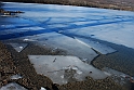 Lago Piccolo di Avigliana ghiacciato_025